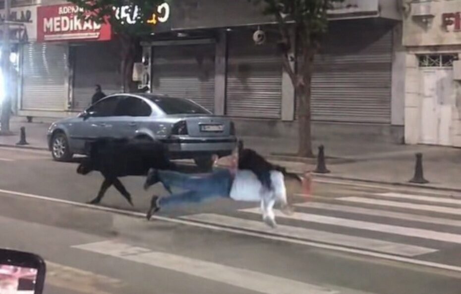 Şaşkına çeviren anlar