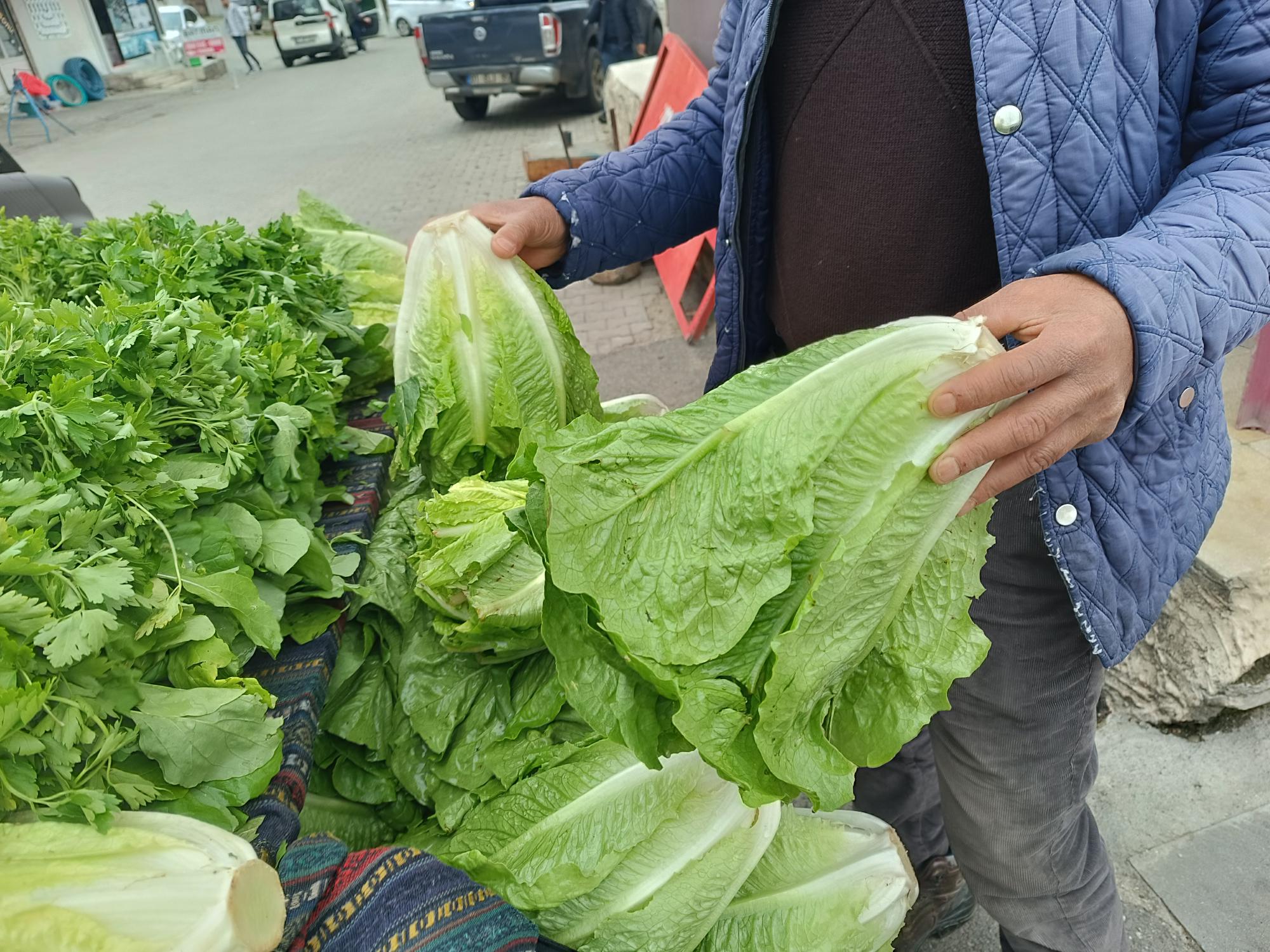 Tezgahlarda zirve marulun