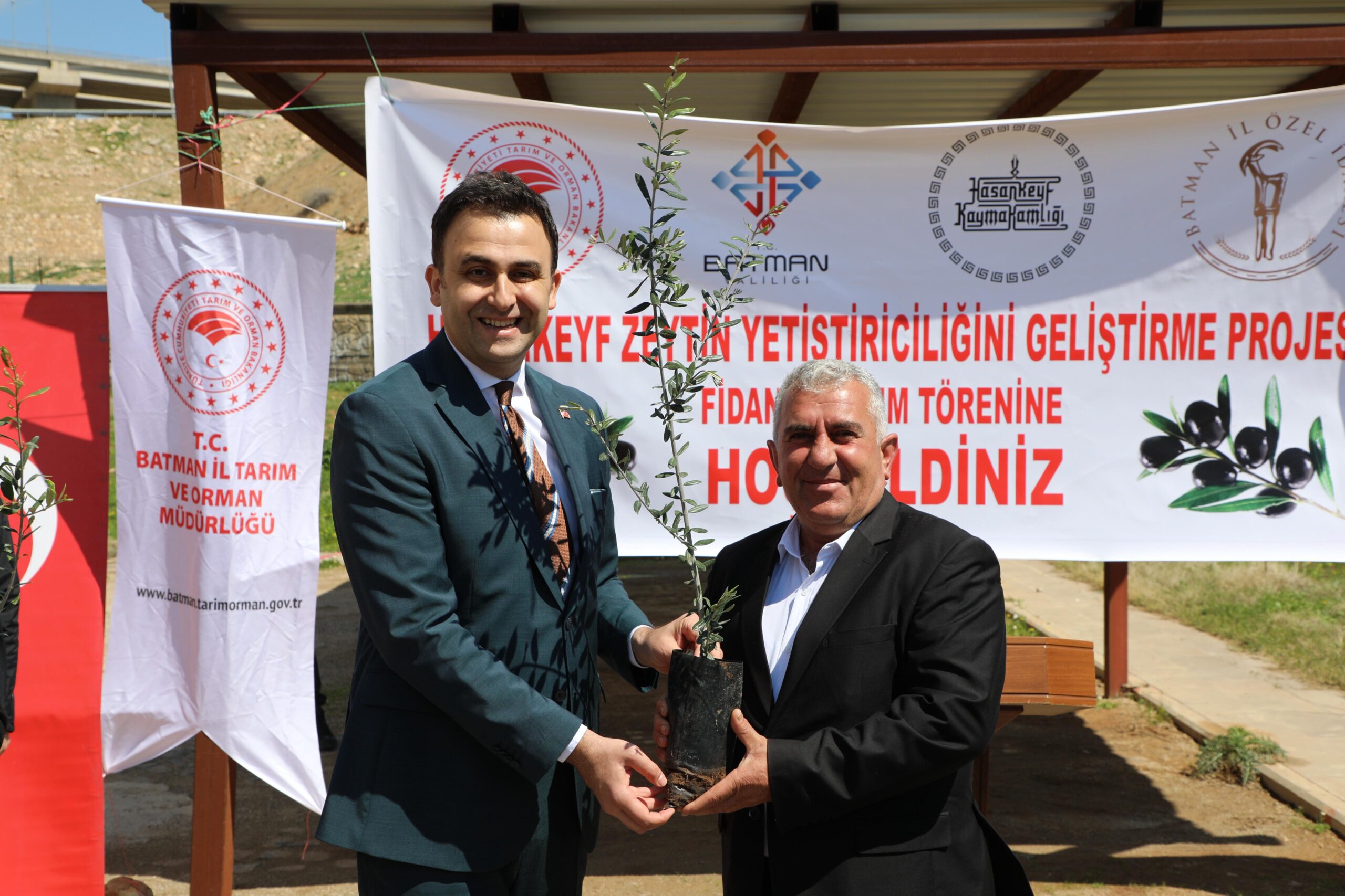 Üreticilere 4 bin zeytin fidanı