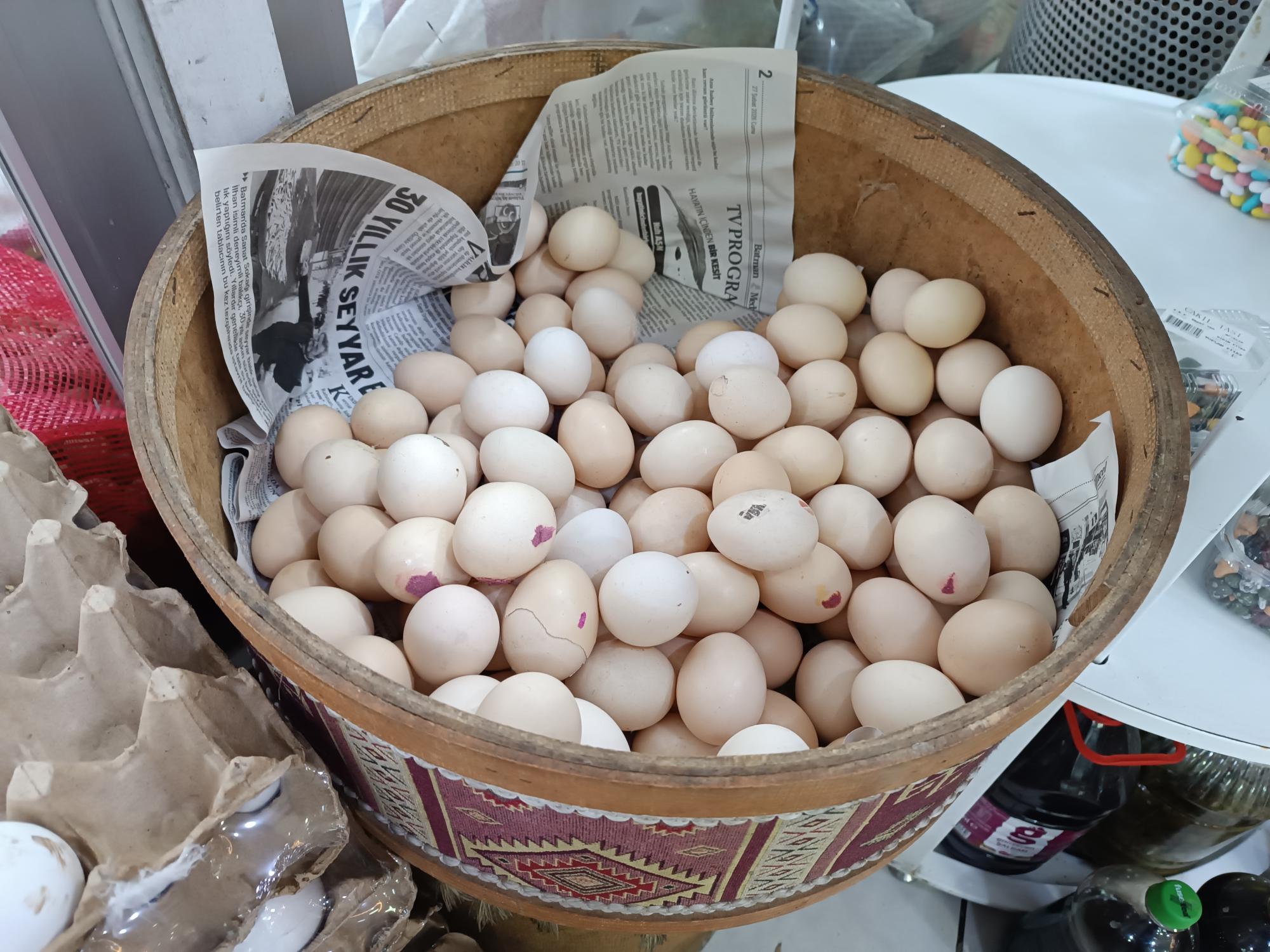 Yumurtada mevsim etkisi
