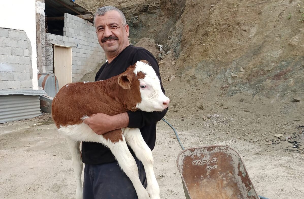 Kayıp buzağı sahibine teslim edildi