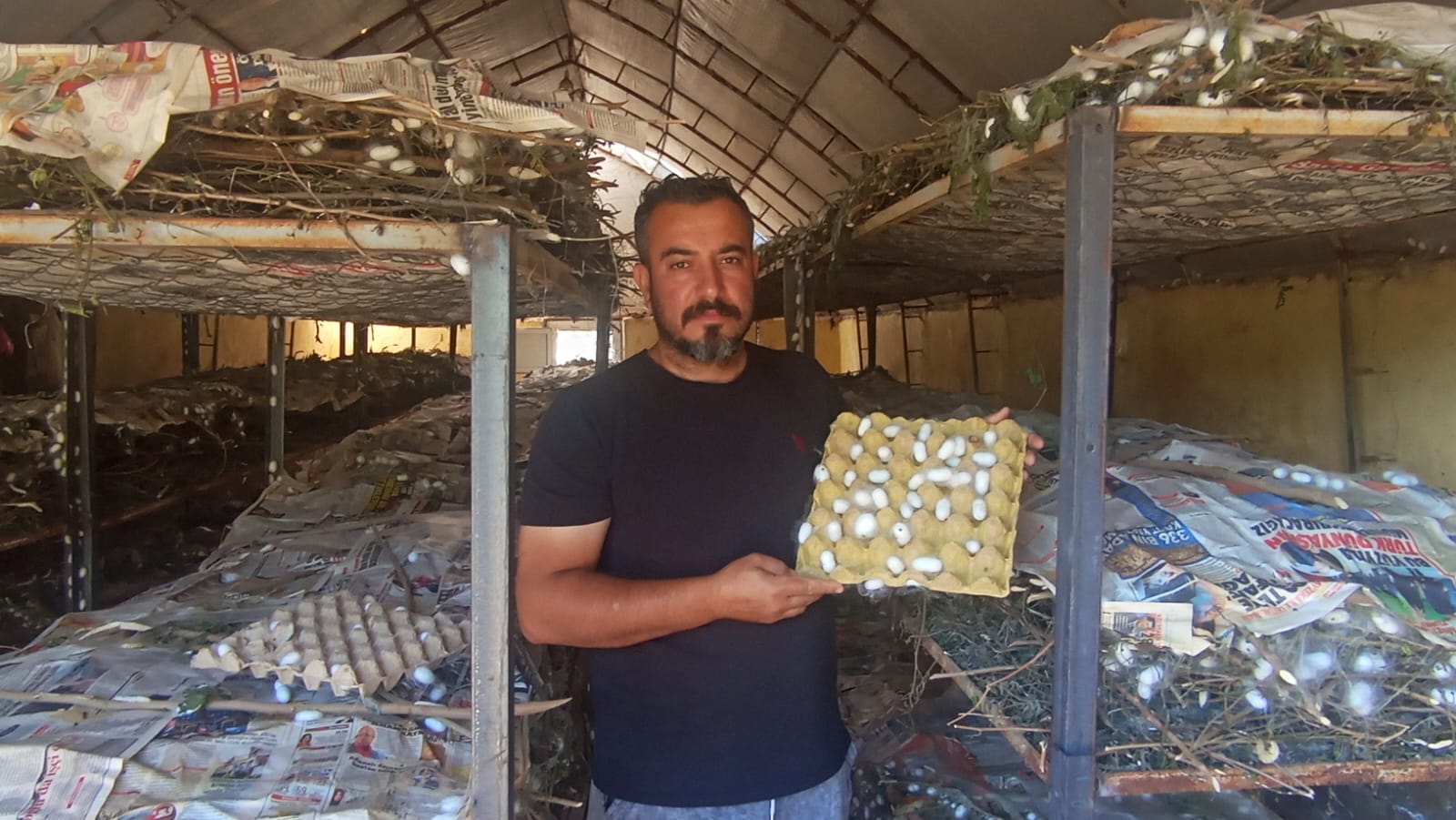 BEYAZ ALTIN HASADI BAŞLIYOR