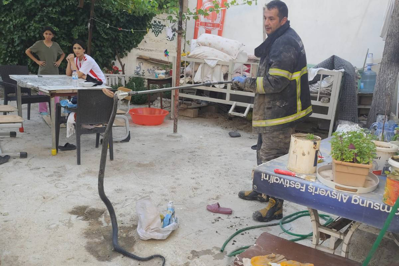 Köyde dev yılan alarmı