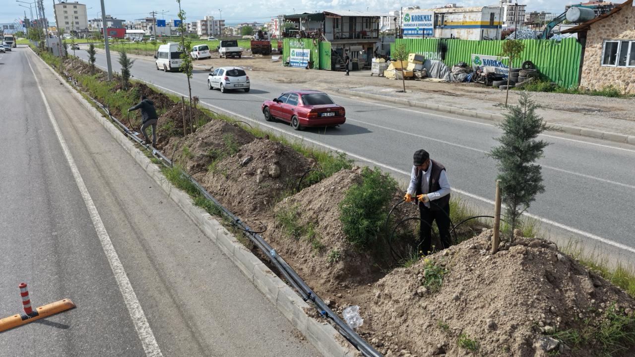 MİLYONLUK YEŞİL PROJE KURUYOR MU!