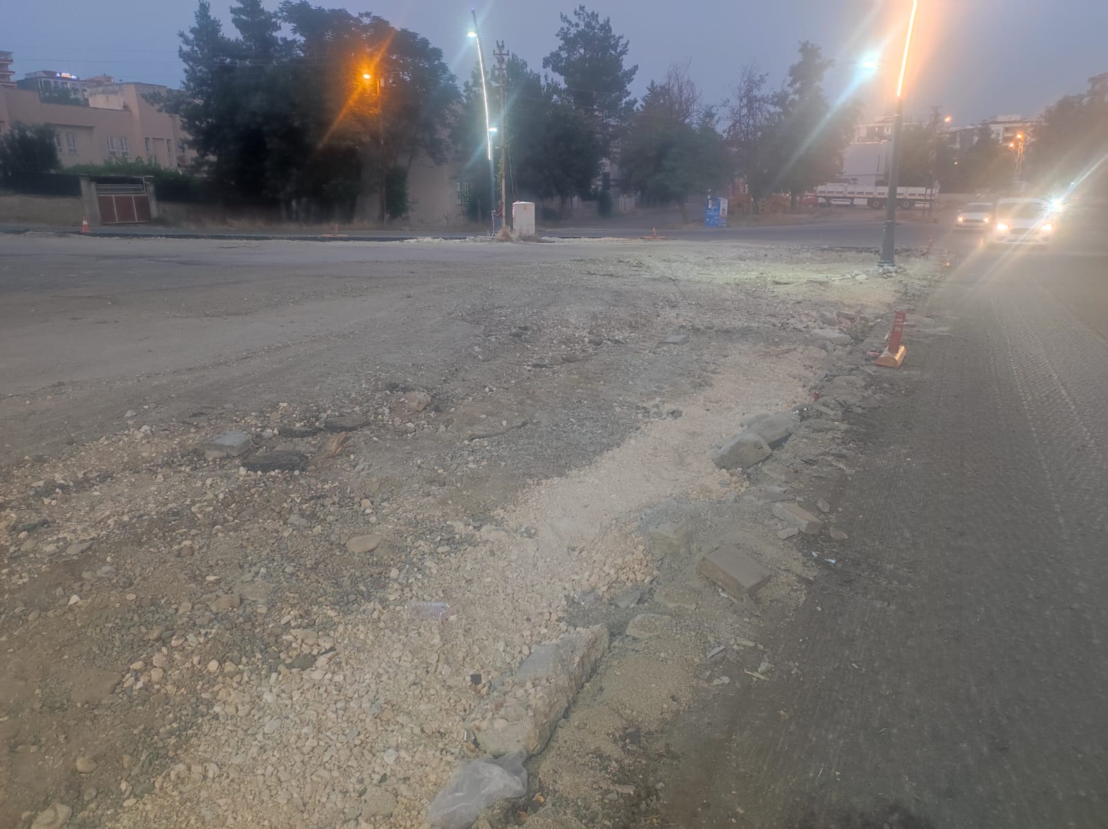 Ağaçlar bir gecede kesildi