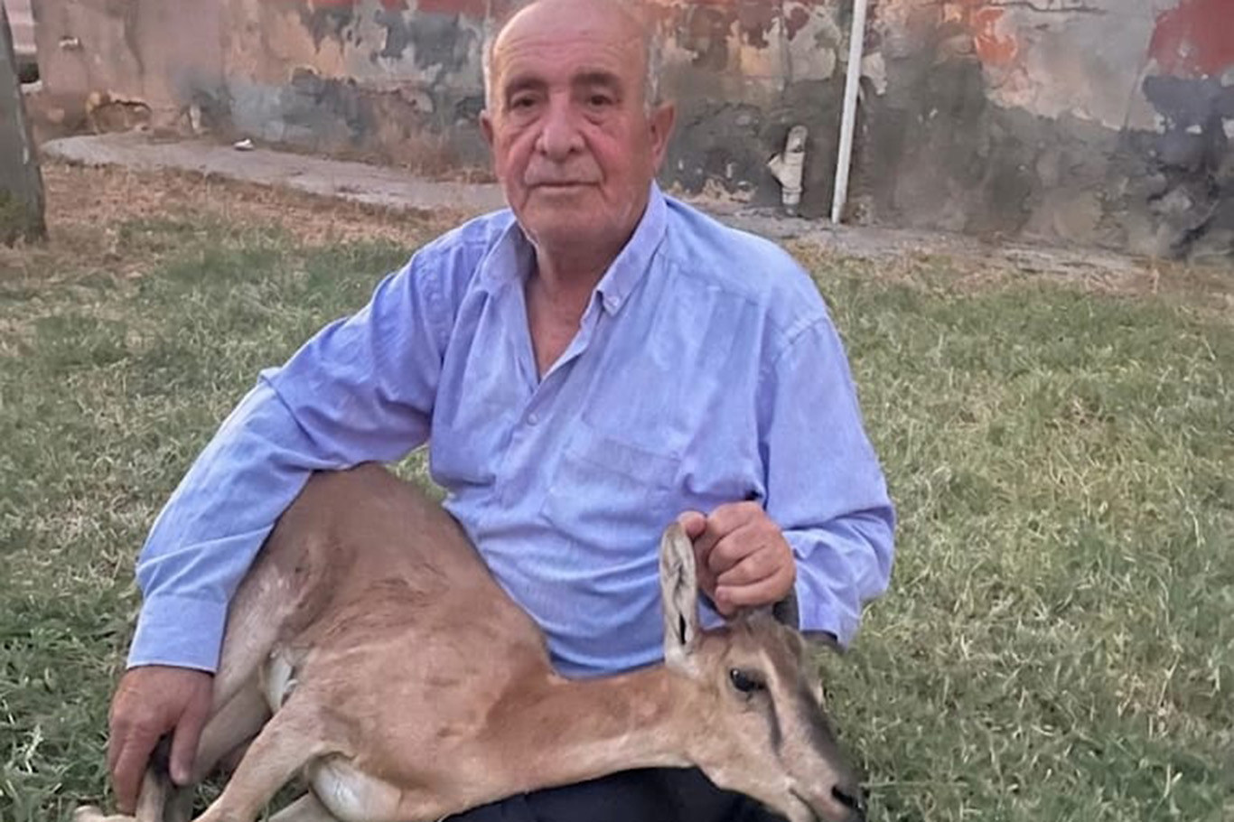 Yarım asır sonra görüldü