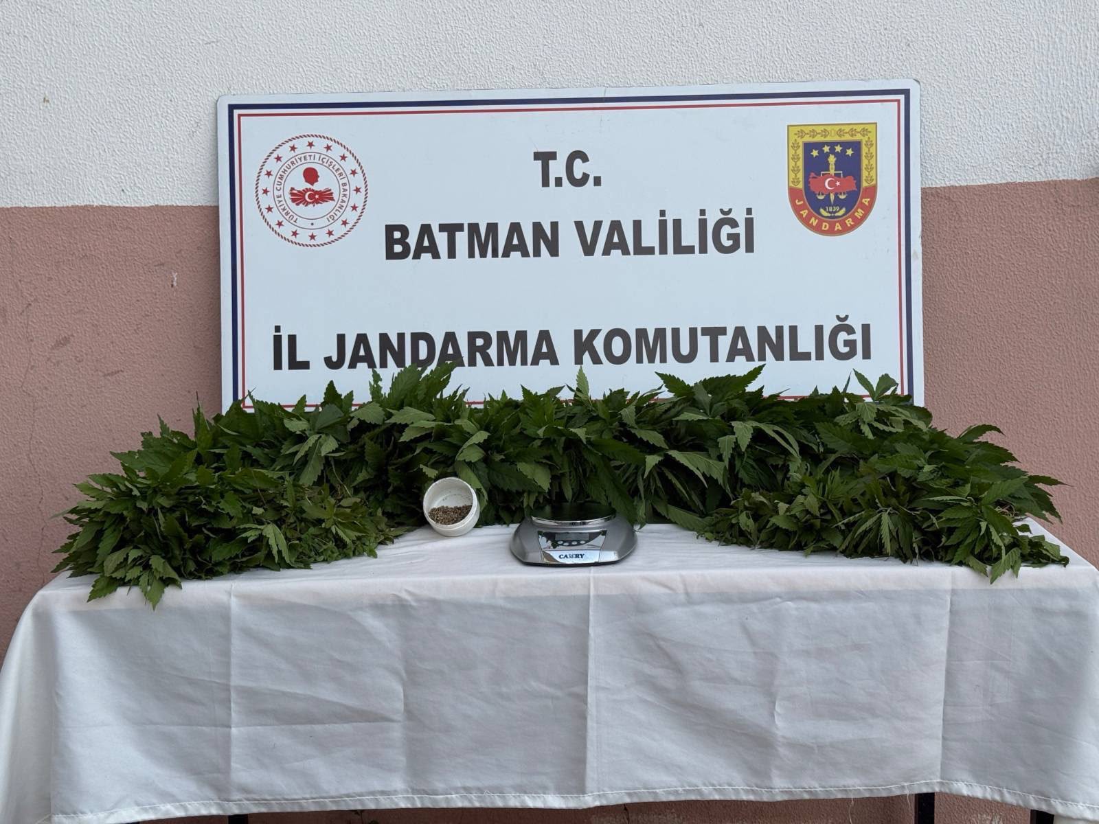 Zehir tarlasına jandarma baskısı