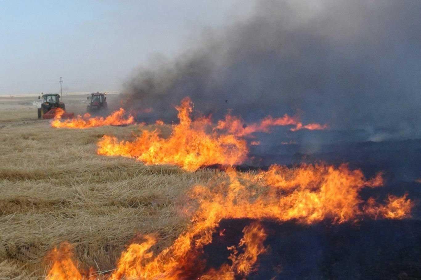 Anız yakana ağır ceza