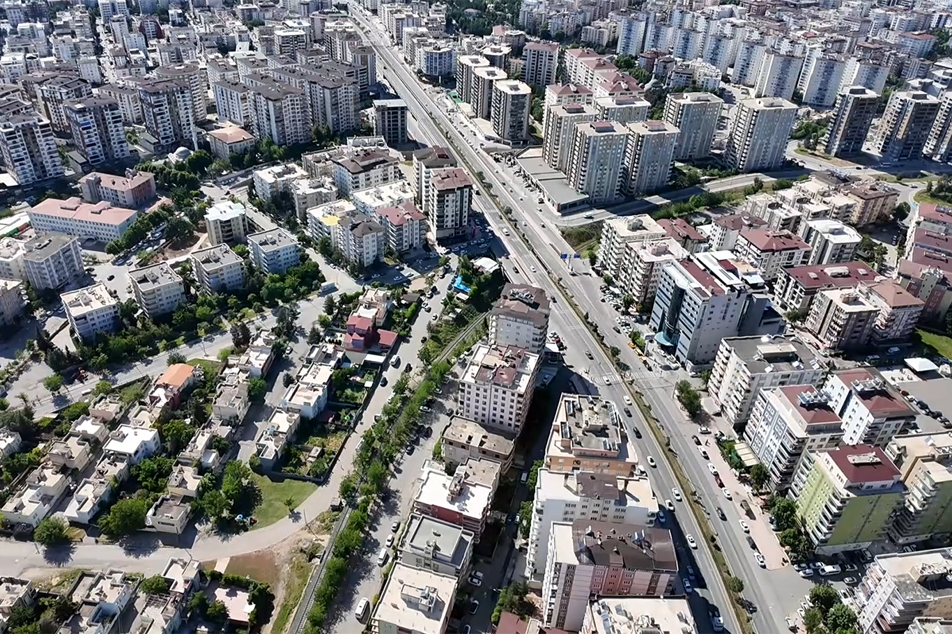 “Her konut için bir ağaç zorunlu hale getirilebilir”