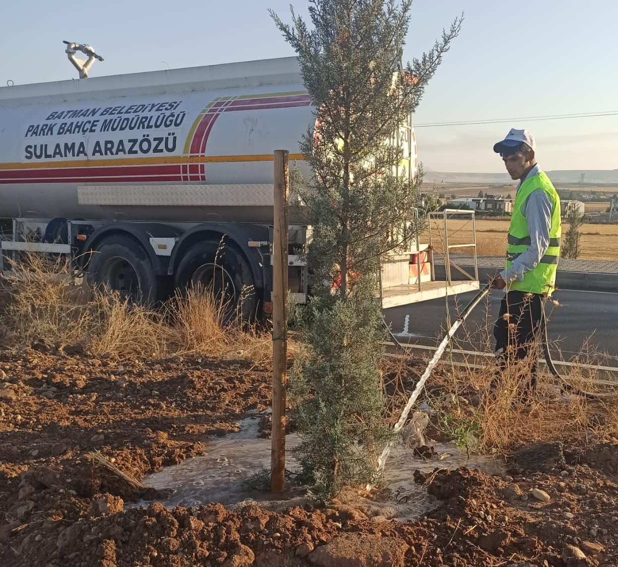Sıcaklara karşı ağaçlara can suyu