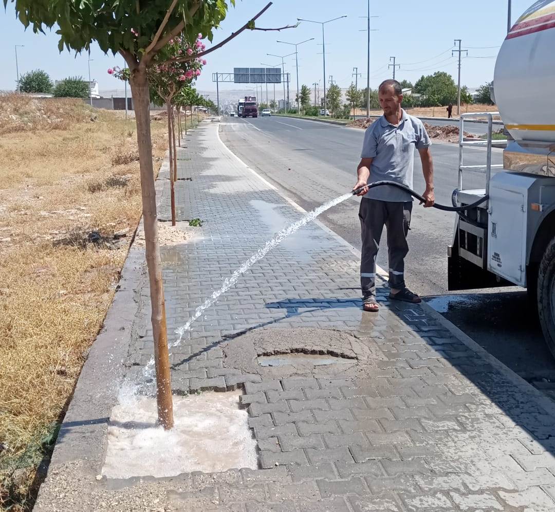 Ağaçlar gün ağarmadan sulanıyor