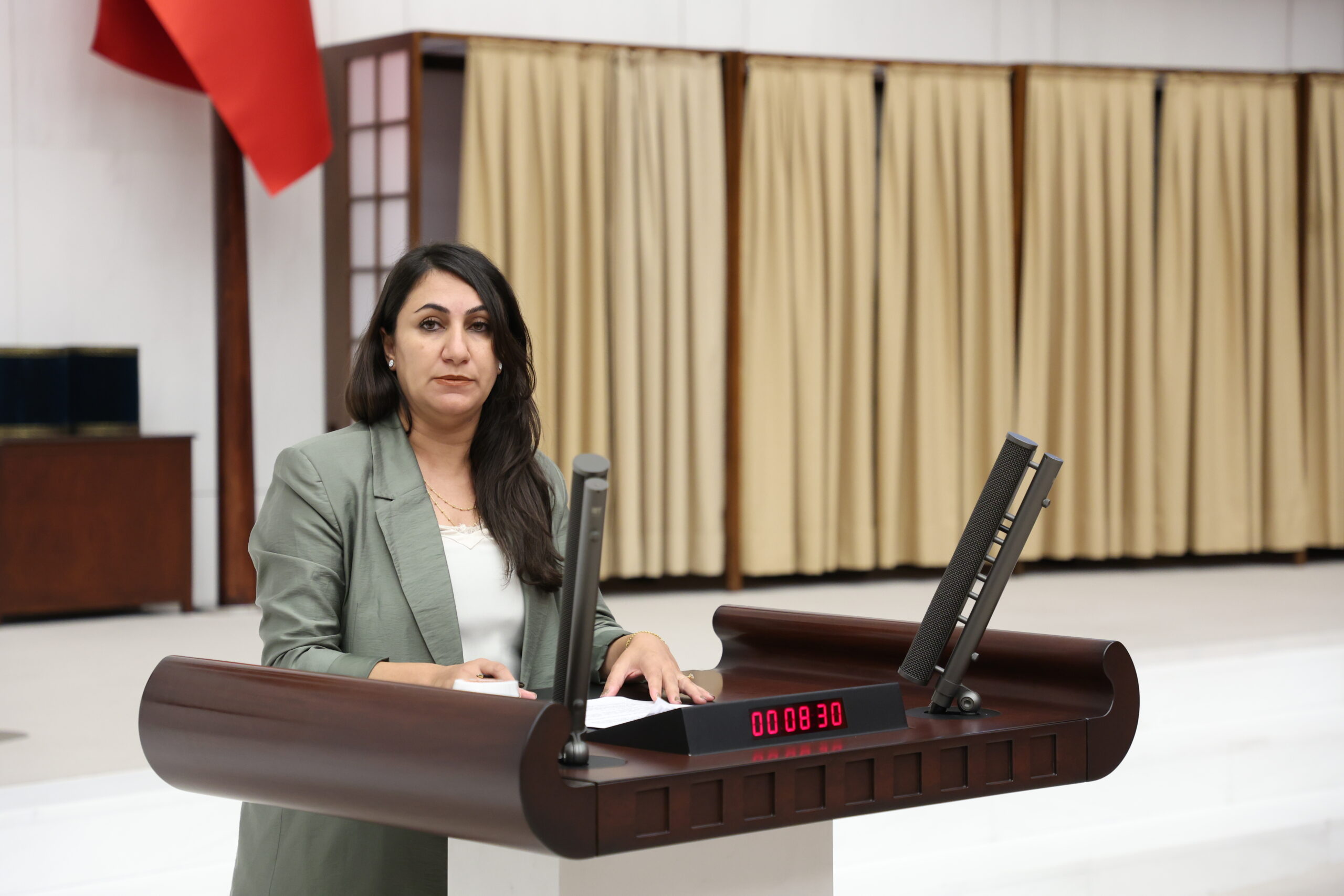“Nüfusta baskı iddiası araştırılsın”