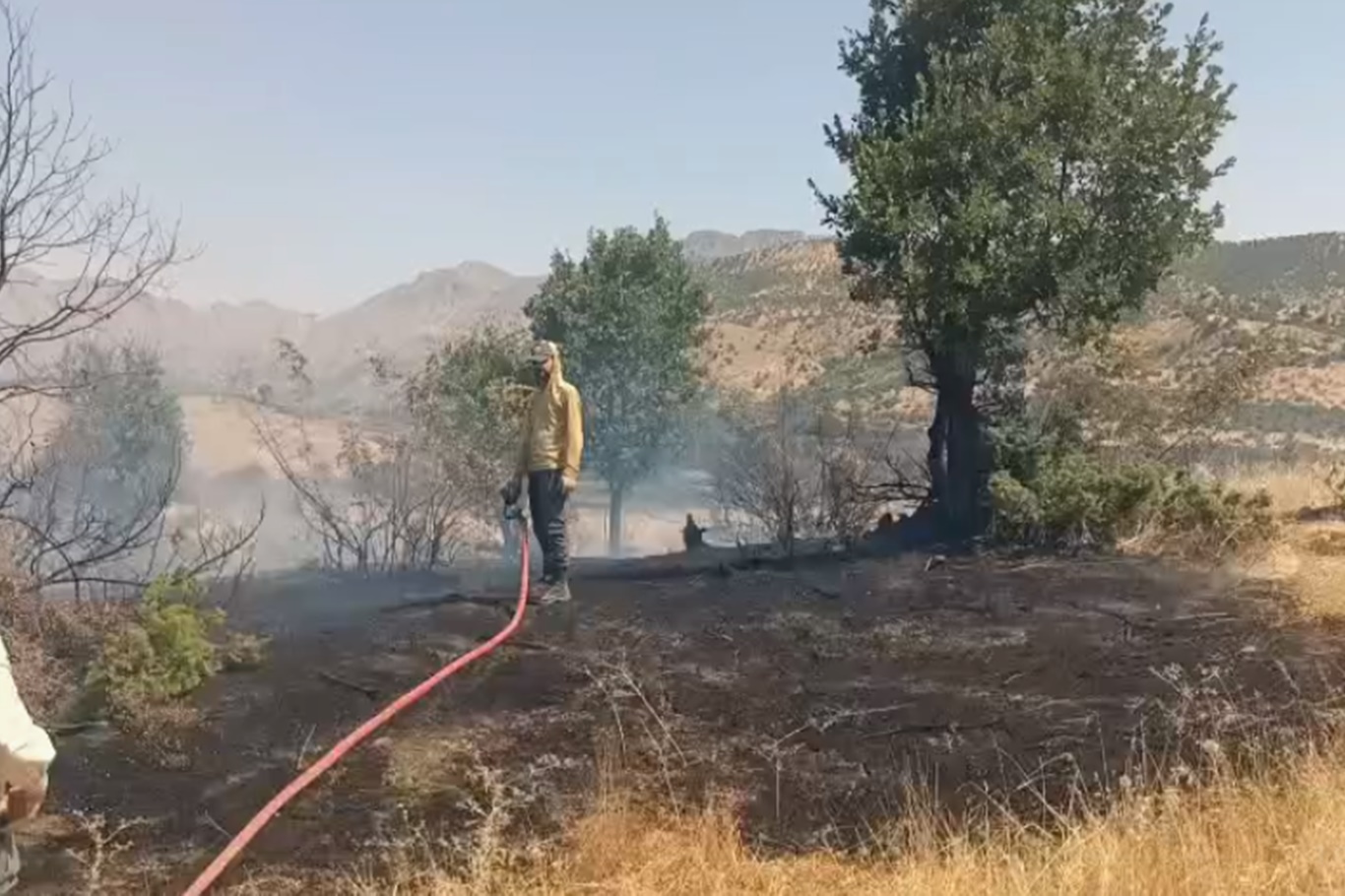 Sason’da orman yangını söndürüldü
