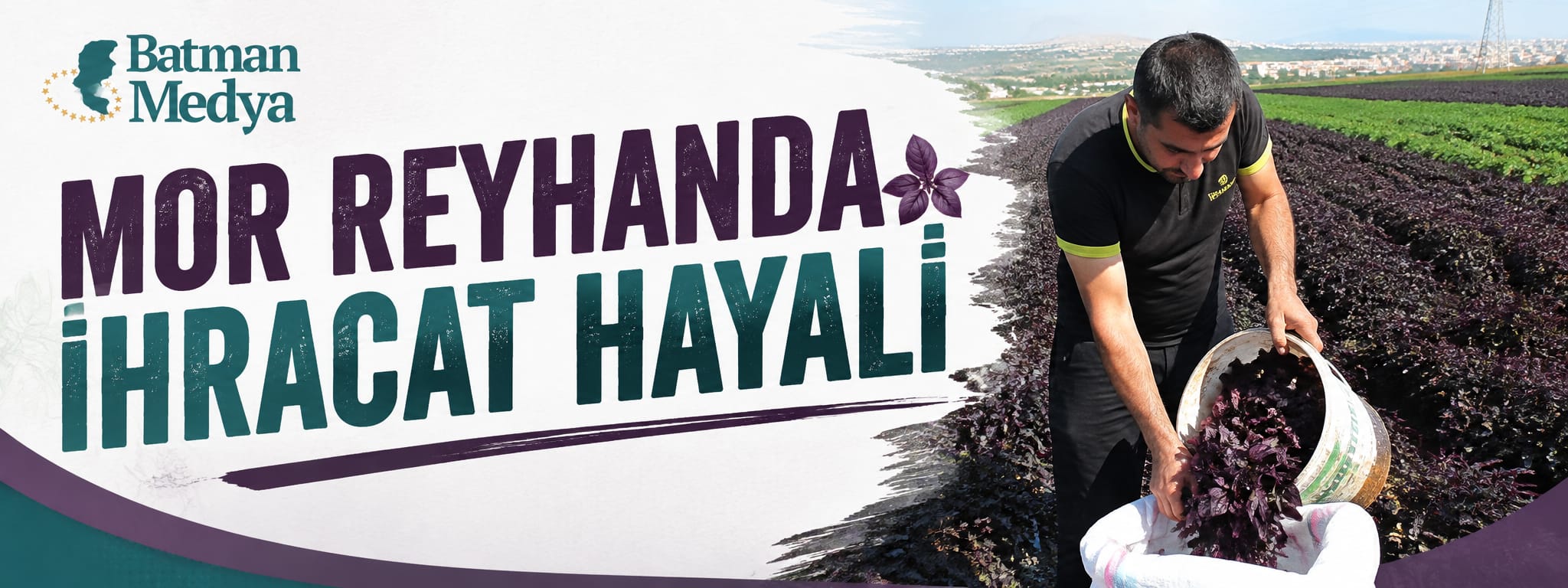 Mor reyhanda ihracat hayali
