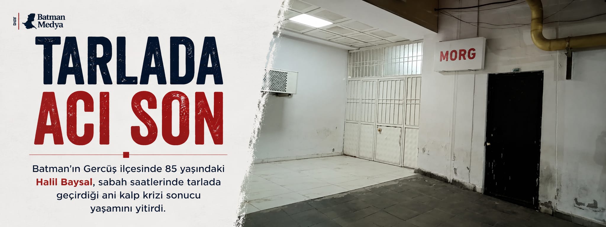 TARLADA ACI SON