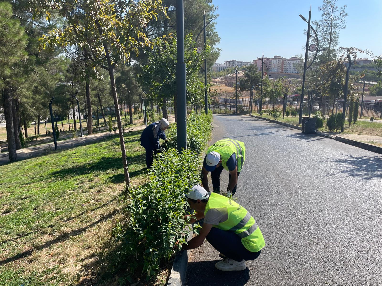 227 Parkta sonbahar seferberliği