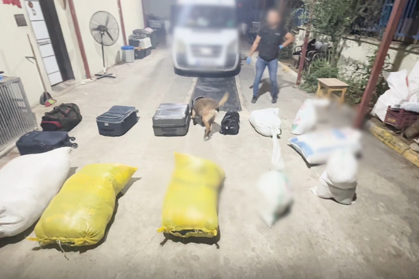 7,4 Kilo skunk ele geçirildi