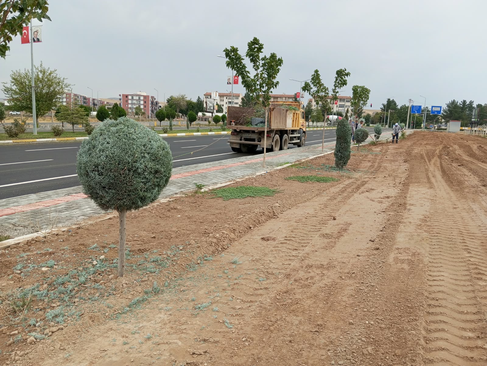 Ağaçlara estetik dokunuş