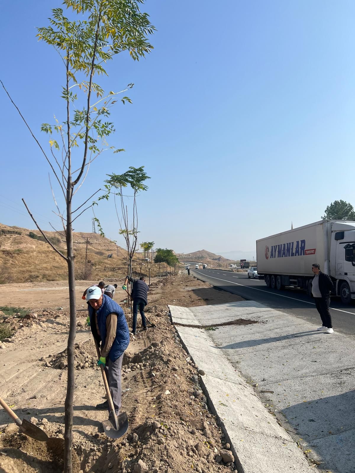 Diktepe yolunda yeşil seferberlik